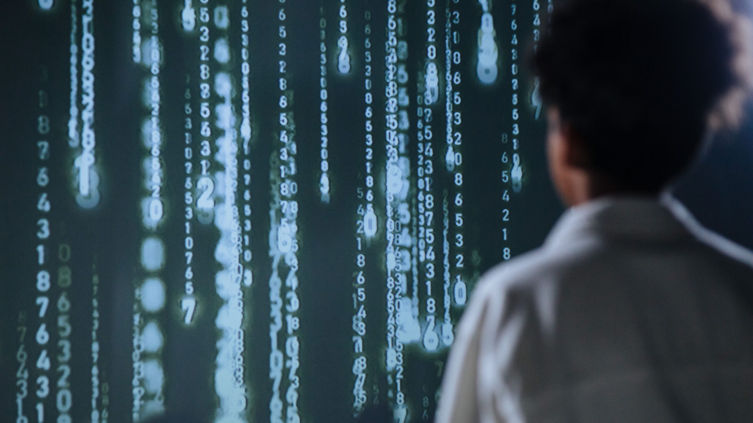 Know What Data the AI Tool Uses